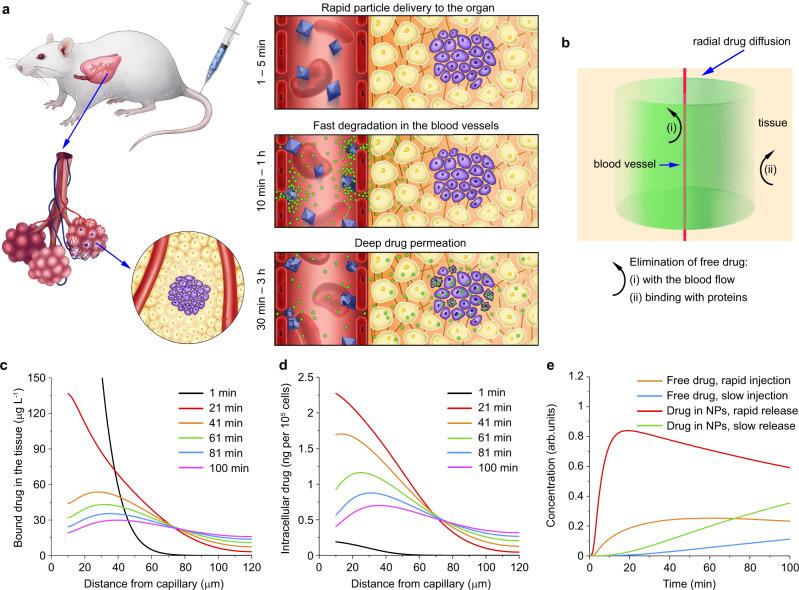 https://cdn.ncbi.nlm.nih.gov/pmc/blobs/869d/9663421/8c16469ae427/41467_2022_34718_Fig1_HTML.jpg