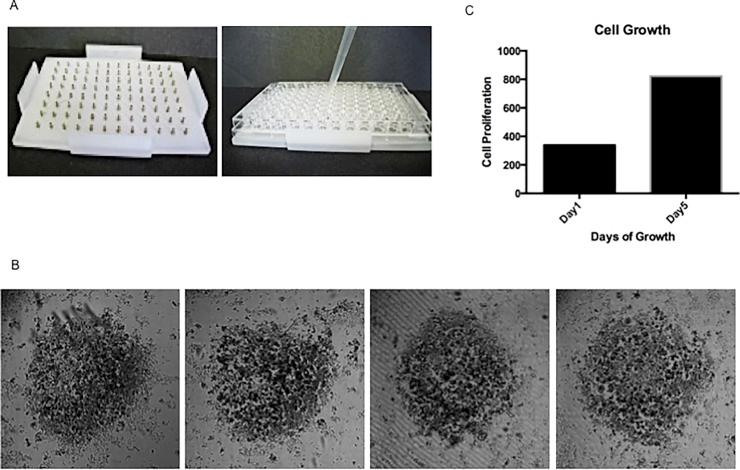 https://cdn.ncbi.nlm.nih.gov/pmc/blobs/86a0/5955489/644ce66ba3fa/pone.0195932.g002.jpg