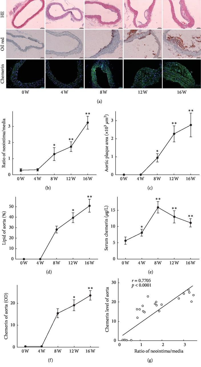 https://cdn.ncbi.nlm.nih.gov/pmc/blobs/86a0/6875193/9c1eba8ef674/BMRI2019-7157865.001.jpg