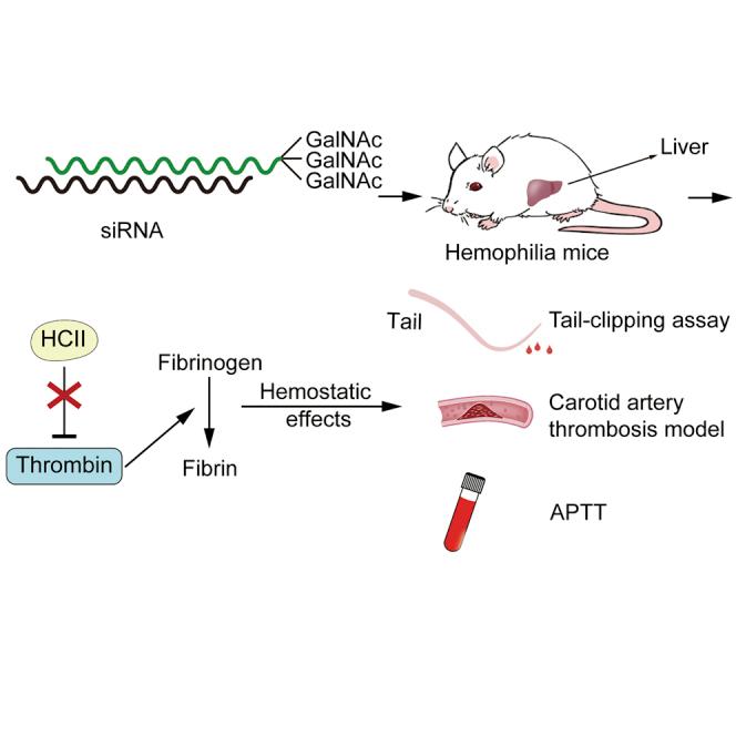 https://cdn.ncbi.nlm.nih.gov/pmc/blobs/86a0/8093307/5ba412aa0ae7/fx1.jpg
