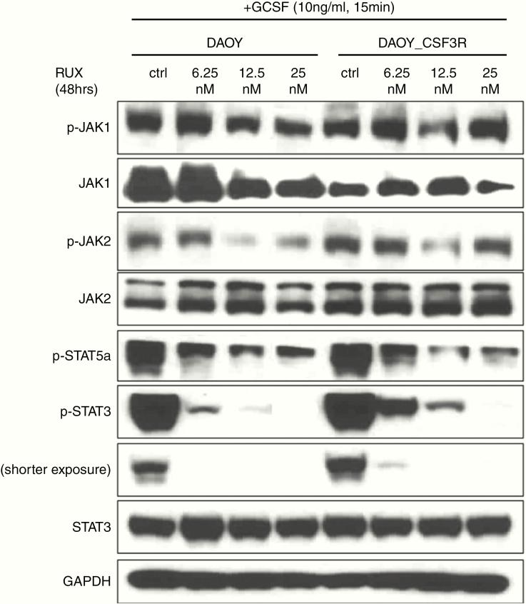 https://cdn.ncbi.nlm.nih.gov/pmc/blobs/86a1/7316203/67e8122ae3aa/vdaa062f0004.jpg