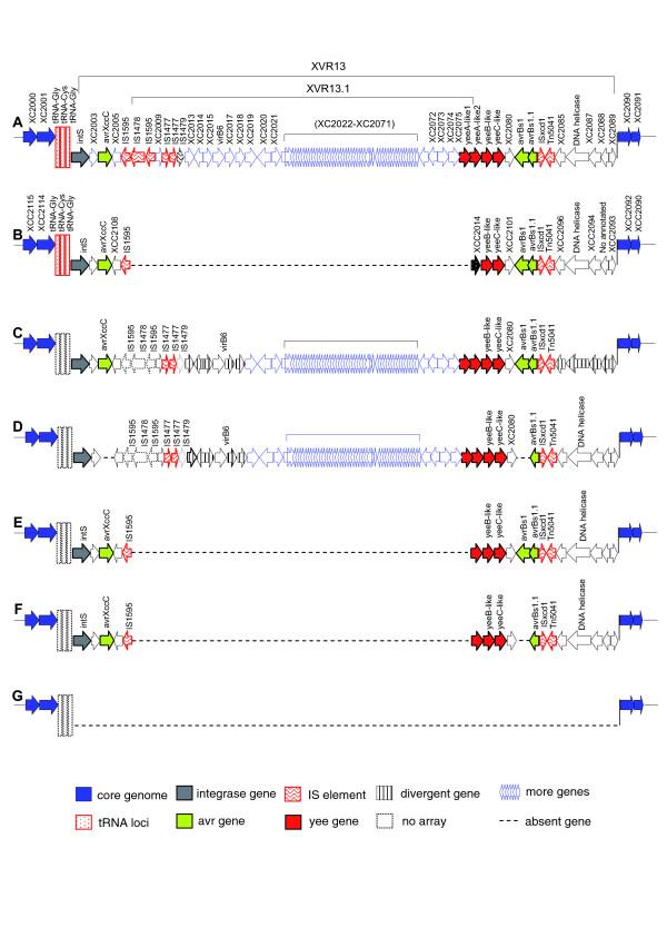 https://cdn.ncbi.nlm.nih.gov/pmc/blobs/86a2/2246292/5632ff8033da/gb-2007-8-10-r218-4.jpg