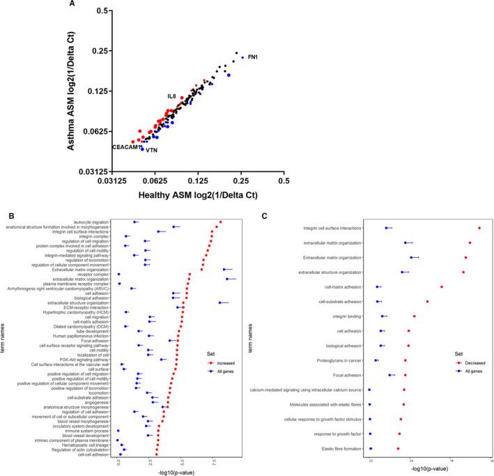 https://cdn.ncbi.nlm.nih.gov/pmc/blobs/86a2/8256353/be74fdf84df6/JCMM-25-6438-g004.jpg