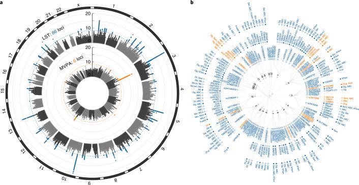 https://cdn.ncbi.nlm.nih.gov/pmc/blobs/86a2/9470530/d824f646f511/41588_2022_1165_Fig2_HTML.jpg