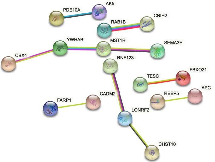 https://cdn.ncbi.nlm.nih.gov/pmc/blobs/86a2/9470530/ee718cbe357a/41588_2022_1165_Fig11_ESM.jpg