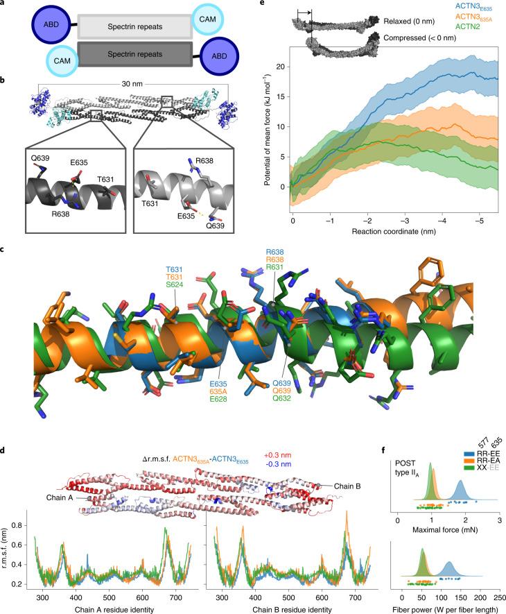 https://cdn.ncbi.nlm.nih.gov/pmc/blobs/86a2/9470530/f48461414c31/41588_2022_1165_Fig6_HTML.jpg