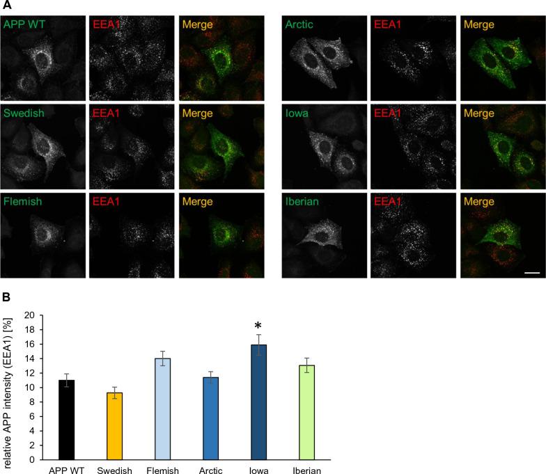 https://cdn.ncbi.nlm.nih.gov/pmc/blobs/86a3/10234039/1c1490226471/40478_2023_1577_Fig5_HTML.jpg