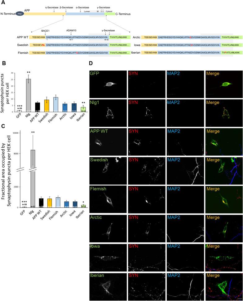 https://cdn.ncbi.nlm.nih.gov/pmc/blobs/86a3/10234039/1f1e6da6f002/40478_2023_1577_Fig1_HTML.jpg