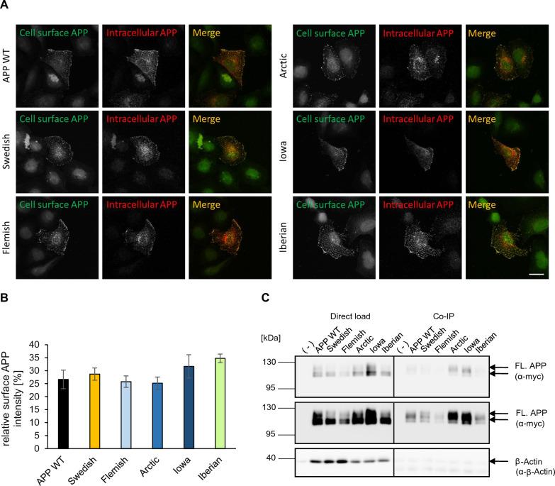 https://cdn.ncbi.nlm.nih.gov/pmc/blobs/86a3/10234039/89f8cd56d075/40478_2023_1577_Fig3_HTML.jpg