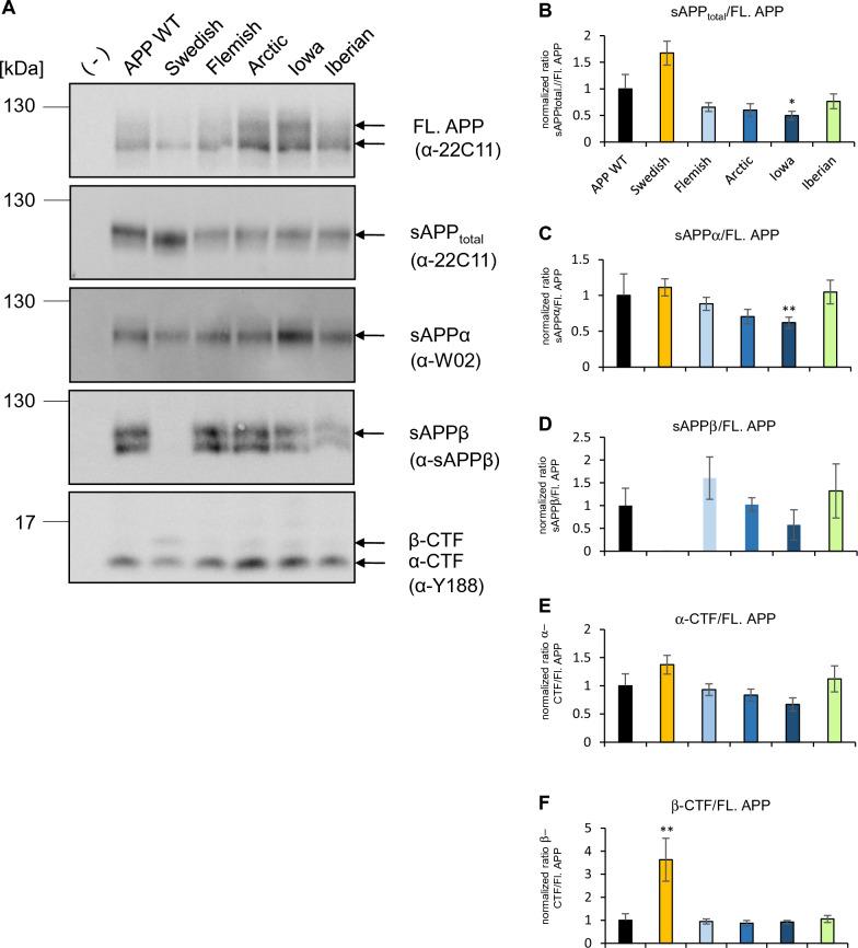 https://cdn.ncbi.nlm.nih.gov/pmc/blobs/86a3/10234039/c36c41e68712/40478_2023_1577_Fig7_HTML.jpg