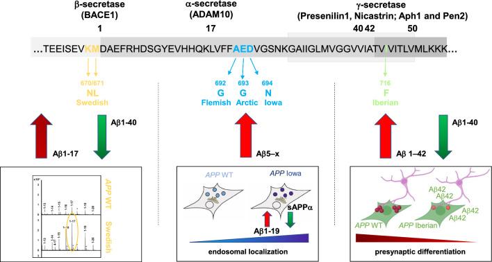 https://cdn.ncbi.nlm.nih.gov/pmc/blobs/86a3/10234039/e88fc9413352/40478_2023_1577_Fig13_HTML.jpg