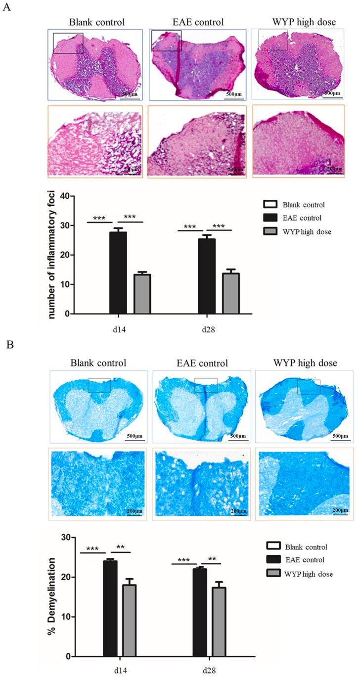 https://cdn.ncbi.nlm.nih.gov/pmc/blobs/86a4/10568116/40e59464dff1/gr2.jpg