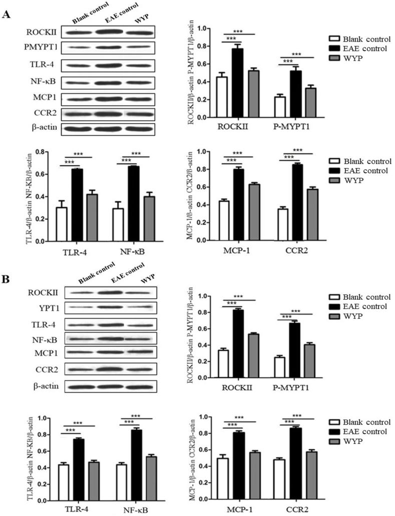 https://cdn.ncbi.nlm.nih.gov/pmc/blobs/86a4/10568116/59ae9052541a/gr4a.jpg
