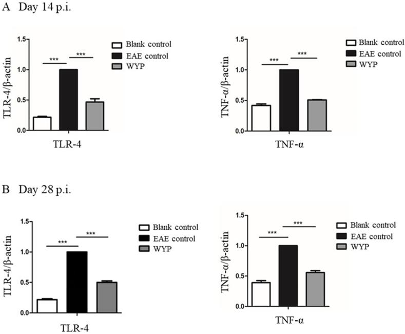 https://cdn.ncbi.nlm.nih.gov/pmc/blobs/86a4/10568116/70cf75c0eaa2/gr7.jpg