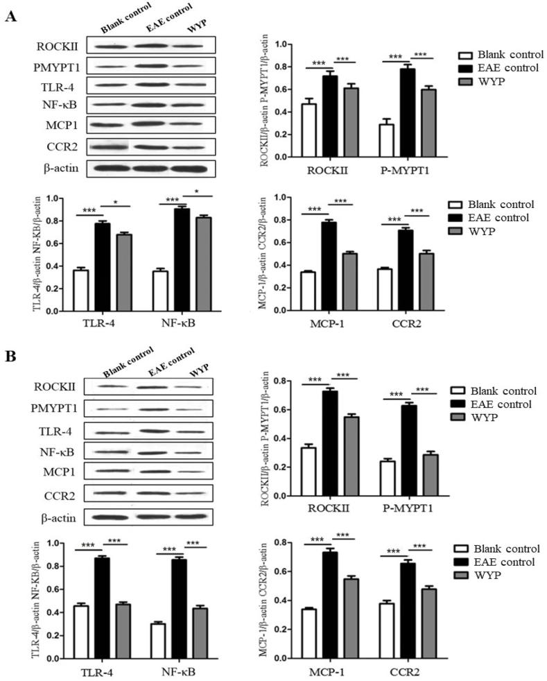 https://cdn.ncbi.nlm.nih.gov/pmc/blobs/86a4/10568116/e0ec93845ea1/gr5a.jpg