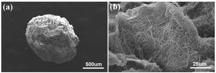 https://cdn.ncbi.nlm.nih.gov/pmc/blobs/86a5/5456792/13e2374ade5c/materials-09-00487-g004.jpg