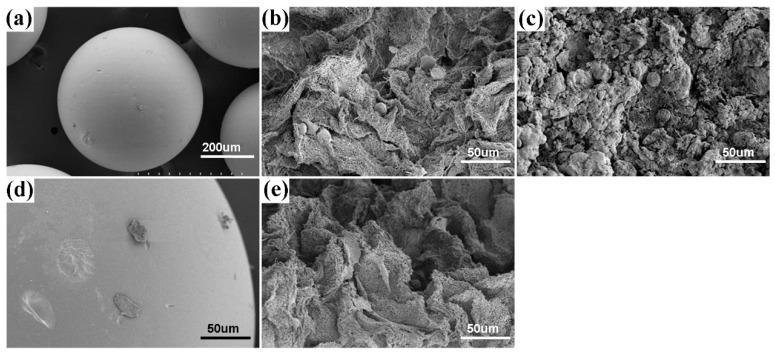 https://cdn.ncbi.nlm.nih.gov/pmc/blobs/86a5/5456792/2c1e9cc35740/materials-09-00487-g008.jpg