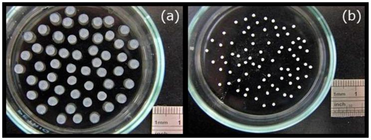 https://cdn.ncbi.nlm.nih.gov/pmc/blobs/86a5/5456792/a5664f61141f/materials-09-00487-g002.jpg