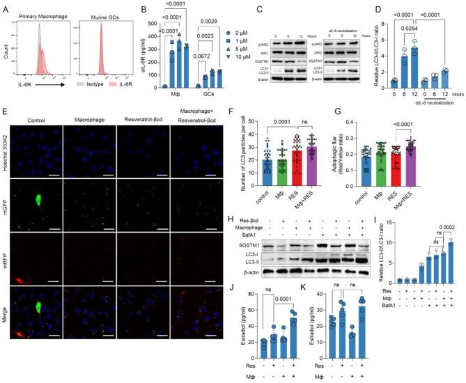https://cdn.ncbi.nlm.nih.gov/pmc/blobs/86a7/10789063/5e9389f407ad/13048_2024_1344_Fig5_HTML.jpg