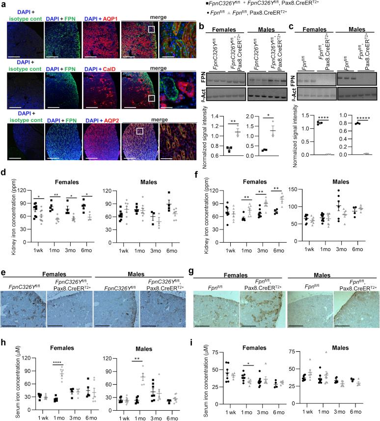 https://cdn.ncbi.nlm.nih.gov/pmc/blobs/86a8/8456337/0d848bad2eb9/gr1.jpg