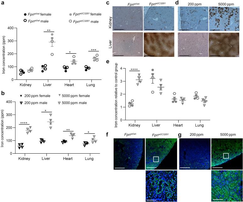 https://cdn.ncbi.nlm.nih.gov/pmc/blobs/86a8/8456337/e5eb1056f00b/gr4.jpg