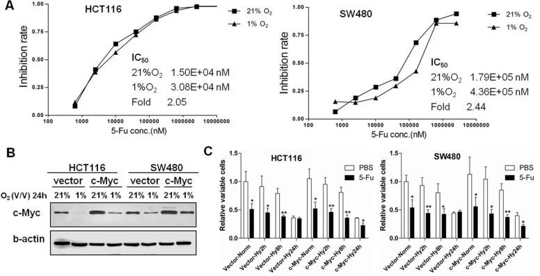 https://cdn.ncbi.nlm.nih.gov/pmc/blobs/86ab/5346686/84e17940fa6b/oncotarget-07-78910-g004.jpg