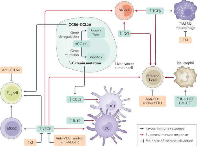https://cdn.ncbi.nlm.nih.gov/pmc/blobs/86ad/8042636/158907a024f7/41575_2021_438_Fig1_HTML.jpg