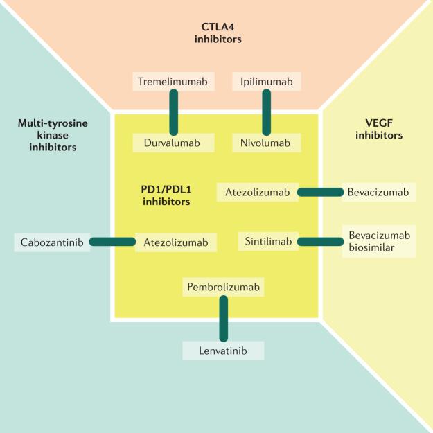 https://cdn.ncbi.nlm.nih.gov/pmc/blobs/86ad/8042636/e424e286bda6/41575_2021_438_Fig3_HTML.jpg