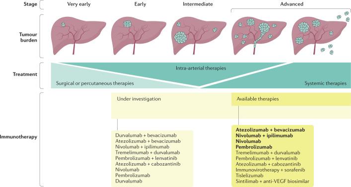 https://cdn.ncbi.nlm.nih.gov/pmc/blobs/86ad/8042636/f5d91bddacf7/41575_2021_438_Fig4_HTML.jpg