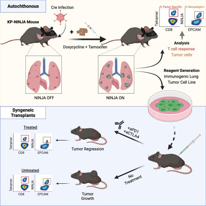 https://cdn.ncbi.nlm.nih.gov/pmc/blobs/86ad/9017202/6f39fc3ae650/fx1.jpg