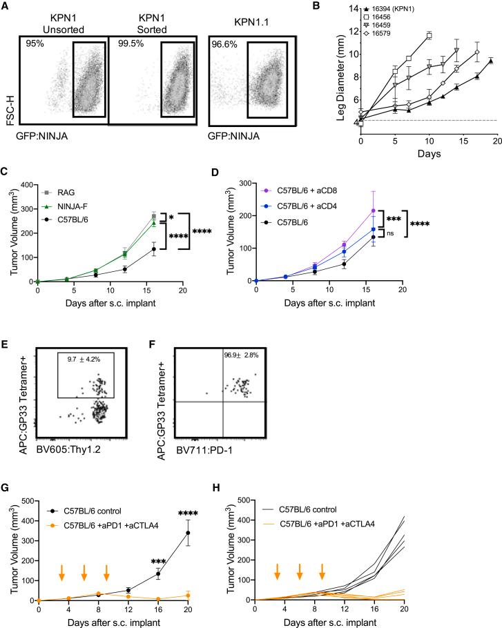 https://cdn.ncbi.nlm.nih.gov/pmc/blobs/86ad/9017202/e6d3e7c8e29a/gr5.jpg