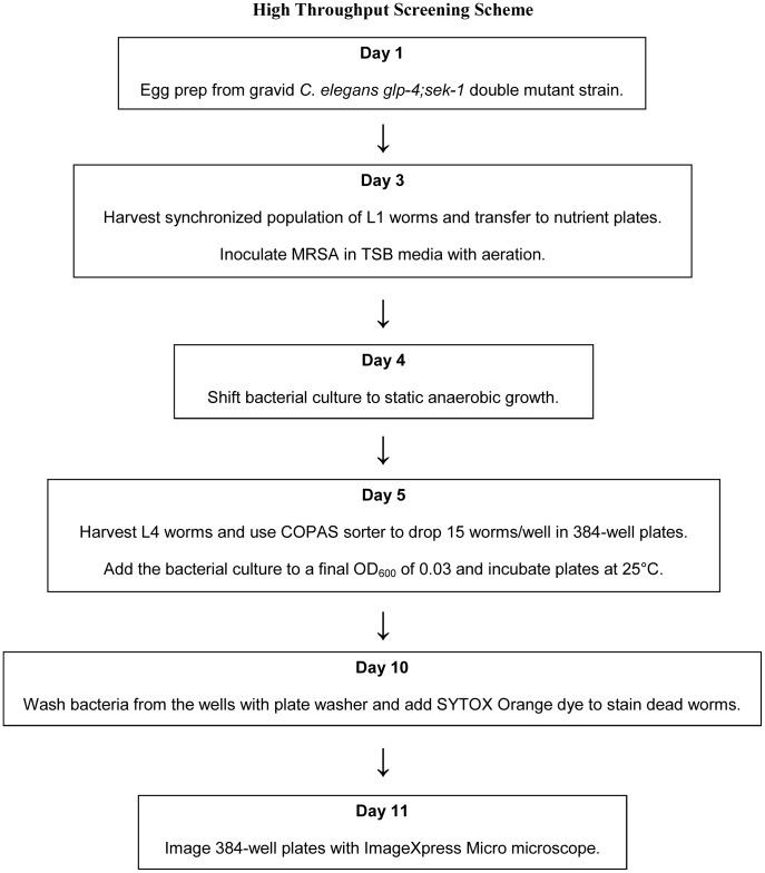 https://cdn.ncbi.nlm.nih.gov/pmc/blobs/86ae/3929655/725fc6c1e43a/pone.0089189.g001.jpg