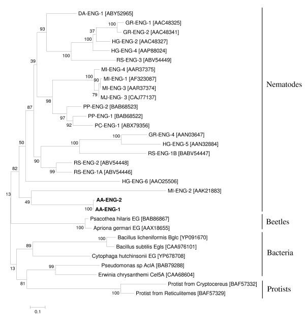 https://cdn.ncbi.nlm.nih.gov/pmc/blobs/86af/2784482/0c9e1877d053/1471-2164-10-525-6.jpg