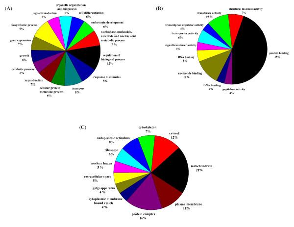 https://cdn.ncbi.nlm.nih.gov/pmc/blobs/86af/2784482/8ff9b2b86117/1471-2164-10-525-4.jpg