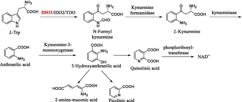 https://cdn.ncbi.nlm.nih.gov/pmc/blobs/86af/8061021/1a583456146e/13045_2021_1080_Fig2_HTML.jpg