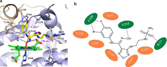 https://cdn.ncbi.nlm.nih.gov/pmc/blobs/86af/8061021/3473bd6f27c8/13045_2021_1080_Fig6_HTML.jpg