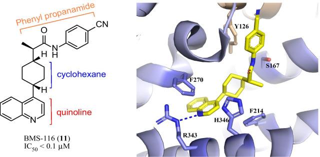 https://cdn.ncbi.nlm.nih.gov/pmc/blobs/86af/8061021/43fe404ffa7c/13045_2021_1080_Fig7_HTML.jpg