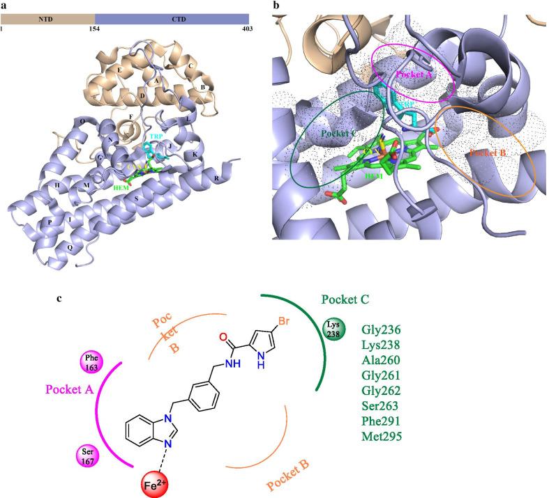 https://cdn.ncbi.nlm.nih.gov/pmc/blobs/86af/8061021/ba17cea98807/13045_2021_1080_Fig4_HTML.jpg