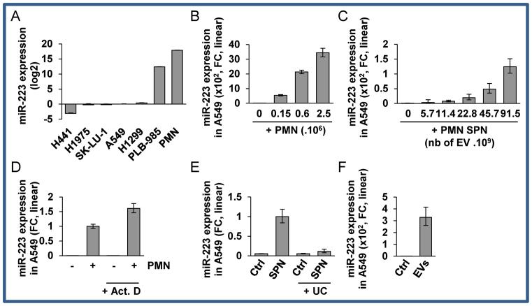 https://cdn.ncbi.nlm.nih.gov/pmc/blobs/86b0/5397191/9946486ee097/gkw1284fig1.jpg