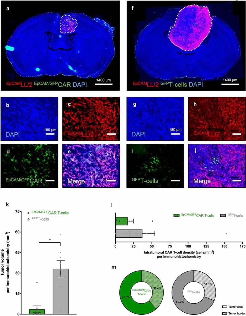 https://cdn.ncbi.nlm.nih.gov/pmc/blobs/86b1/9851202/18e6be2f6c5c/KONI_A_2163781_F0005_OC.jpg