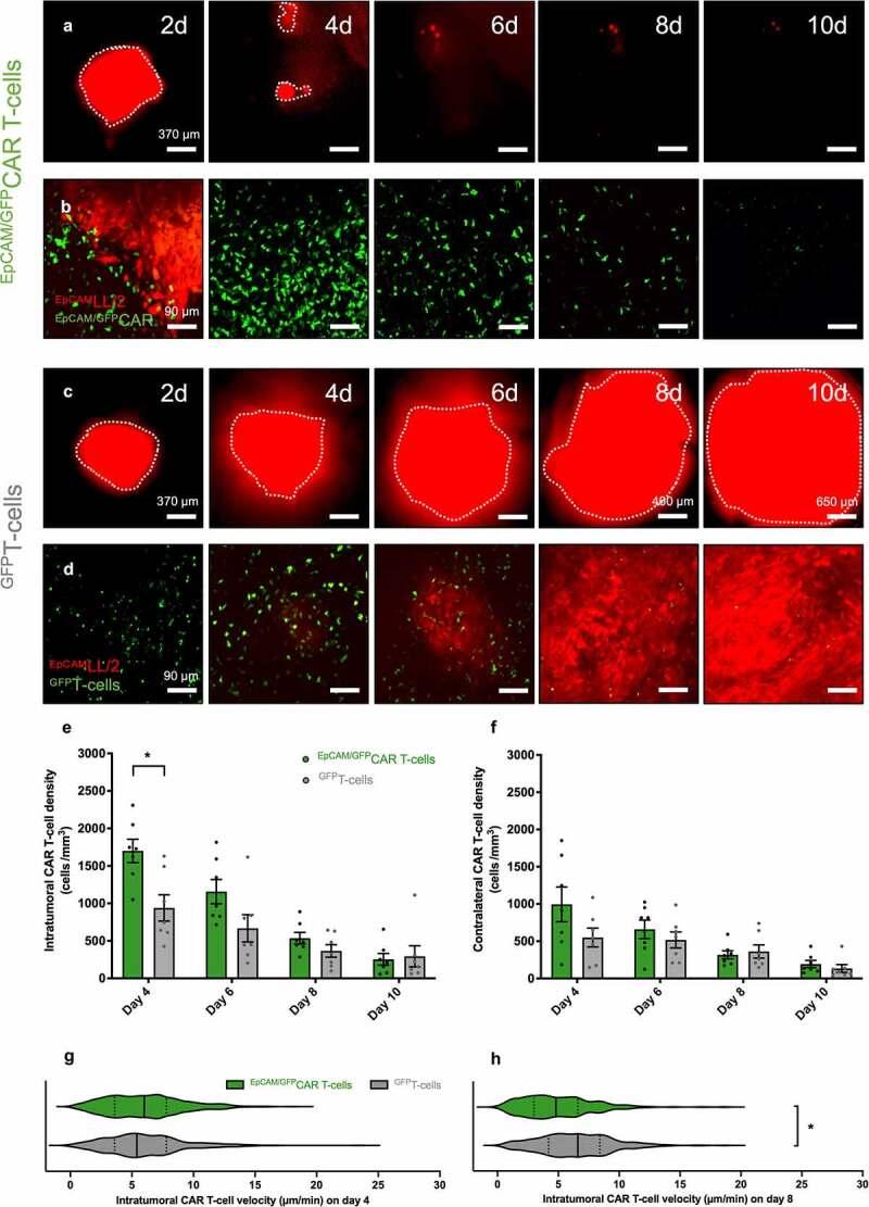 https://cdn.ncbi.nlm.nih.gov/pmc/blobs/86b1/9851202/6dd7916cfc18/KONI_A_2163781_F0003_OC.jpg