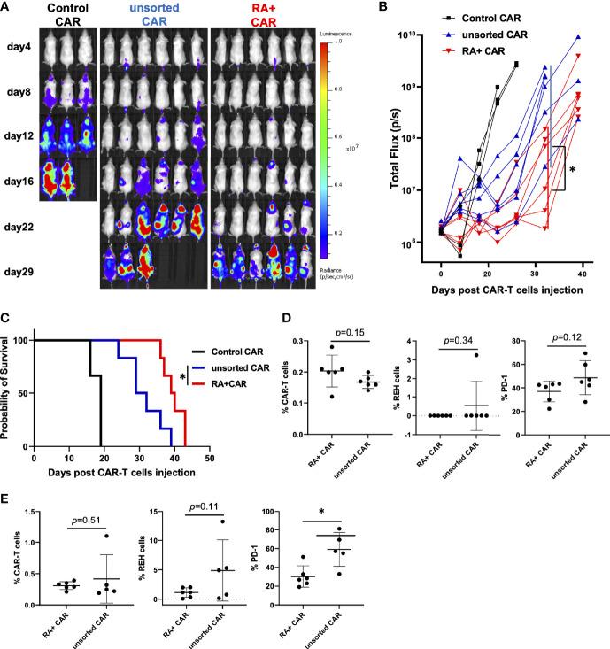 https://cdn.ncbi.nlm.nih.gov/pmc/blobs/86b2/8829551/a55a33a2451a/fimmu-13-770132-g004.jpg