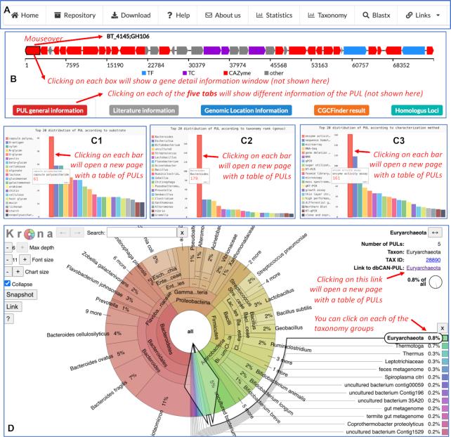 https://cdn.ncbi.nlm.nih.gov/pmc/blobs/86b4/7778981/6ac85719be7b/gkaa742fig3.jpg