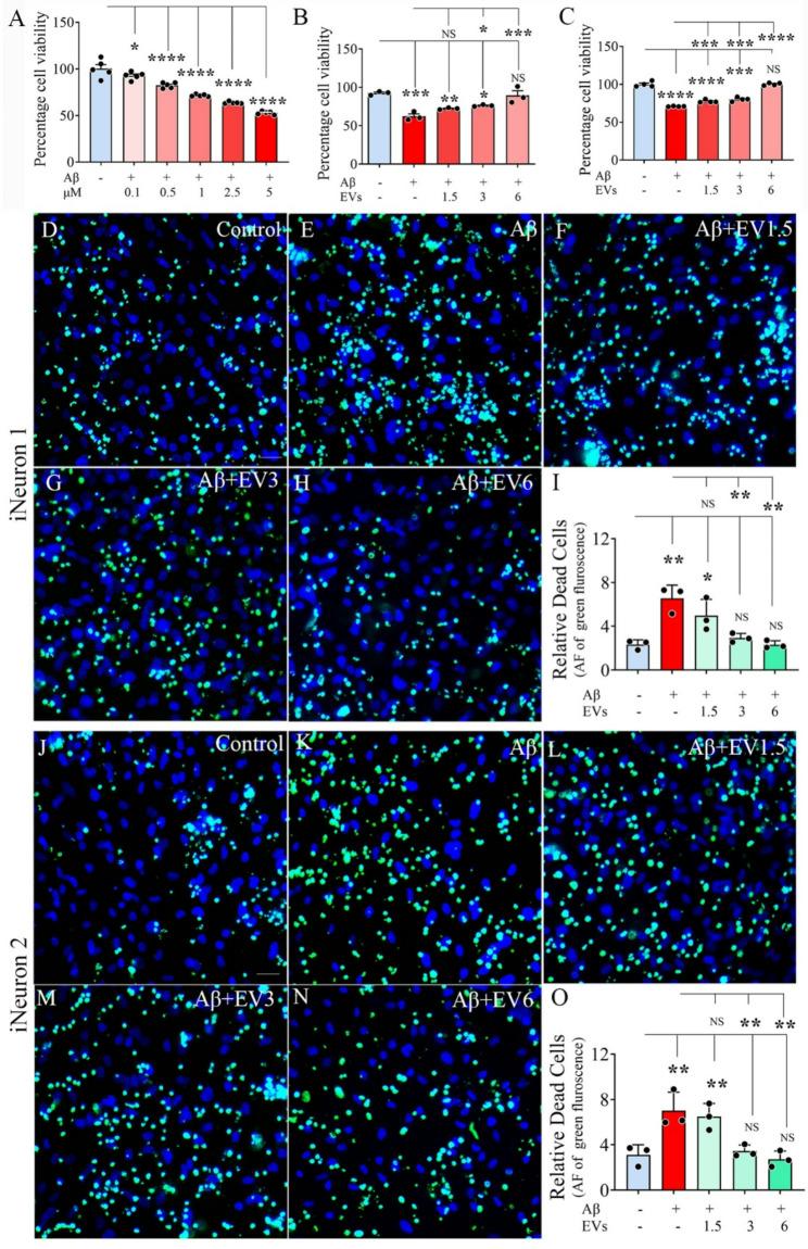 https://cdn.ncbi.nlm.nih.gov/pmc/blobs/86b6/12008877/12ec80a9e298/13287_2025_4324_Fig3_HTML.jpg