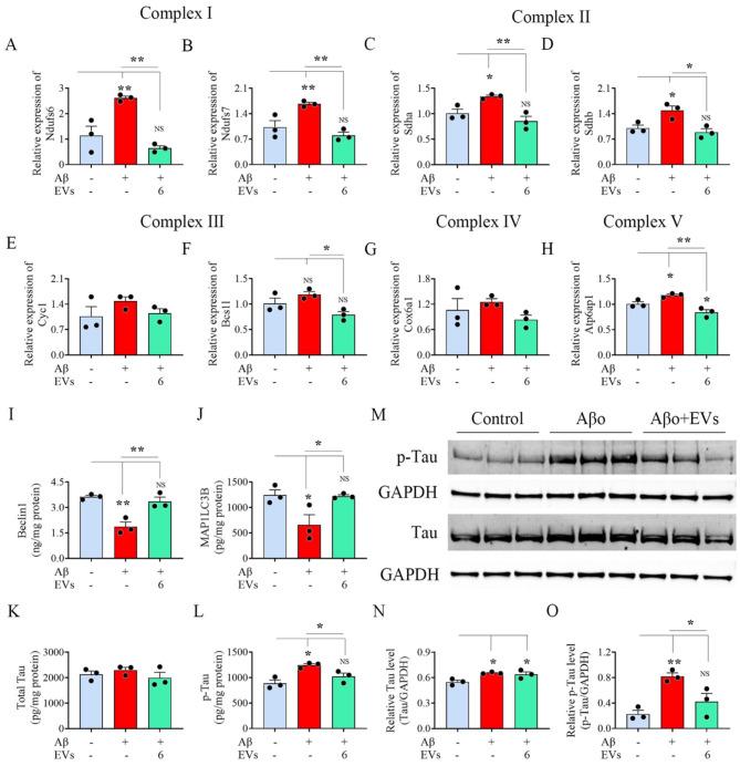 https://cdn.ncbi.nlm.nih.gov/pmc/blobs/86b6/12008877/e73b5f724dce/13287_2025_4324_Fig9_HTML.jpg