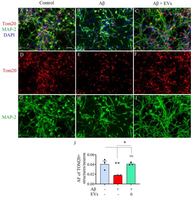 https://cdn.ncbi.nlm.nih.gov/pmc/blobs/86b6/12008877/fda739debbf0/13287_2025_4324_Fig8_HTML.jpg