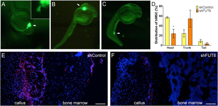 https://cdn.ncbi.nlm.nih.gov/pmc/blobs/86b7/6093088/48964035efd9/gr3.jpg