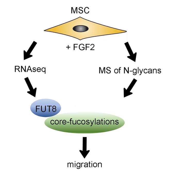 https://cdn.ncbi.nlm.nih.gov/pmc/blobs/86b7/6093088/ad9553f2eed2/fx1.jpg