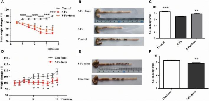 https://cdn.ncbi.nlm.nih.gov/pmc/blobs/86b8/5662589/199653c00cc8/fcimb-07-00455-g0007.jpg