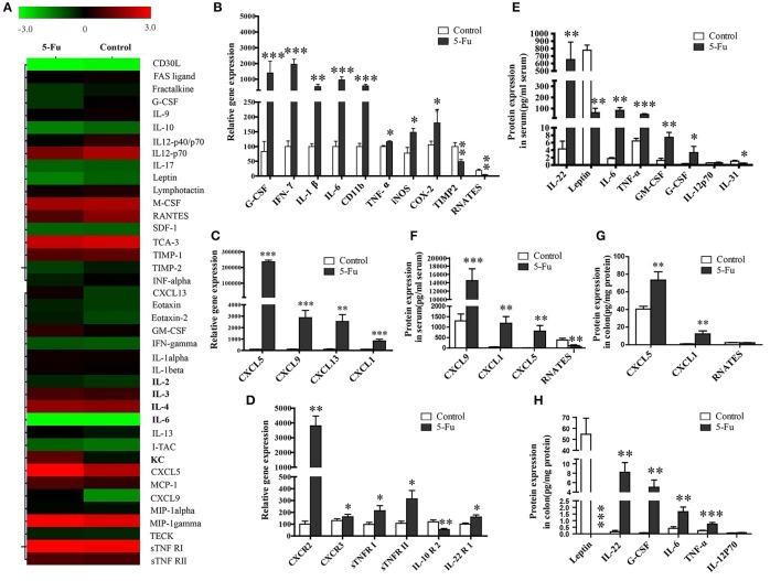https://cdn.ncbi.nlm.nih.gov/pmc/blobs/86b8/5662589/bcb33372891f/fcimb-07-00455-g0002.jpg